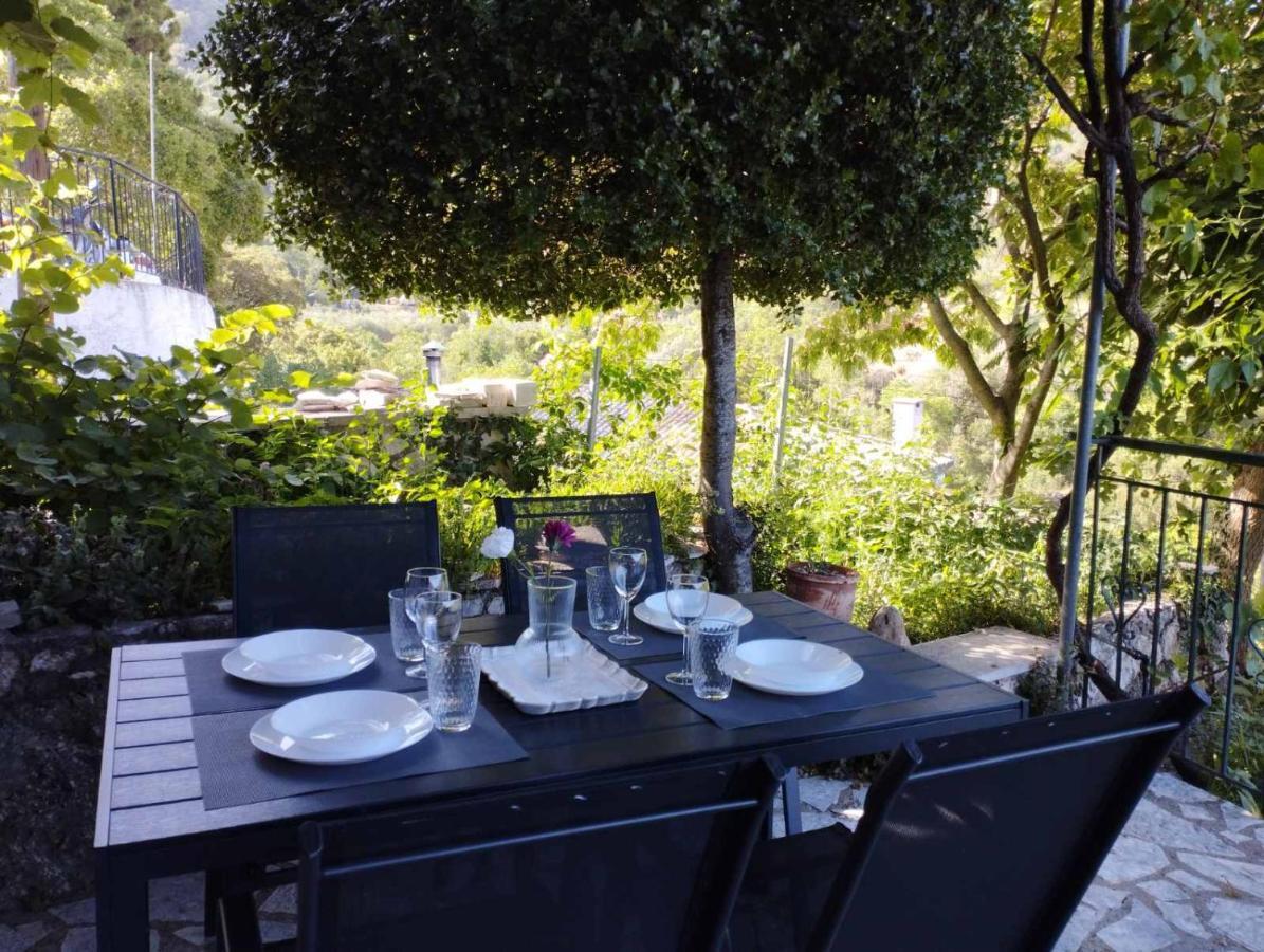Kerkis Traditional Guesthouse Δρυμώνας Εξωτερικό φωτογραφία