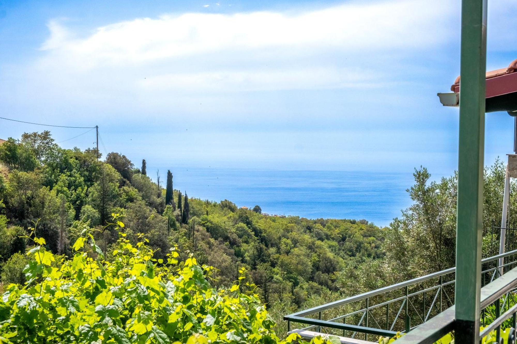 Kerkis Traditional Guesthouse Δρυμώνας Εξωτερικό φωτογραφία